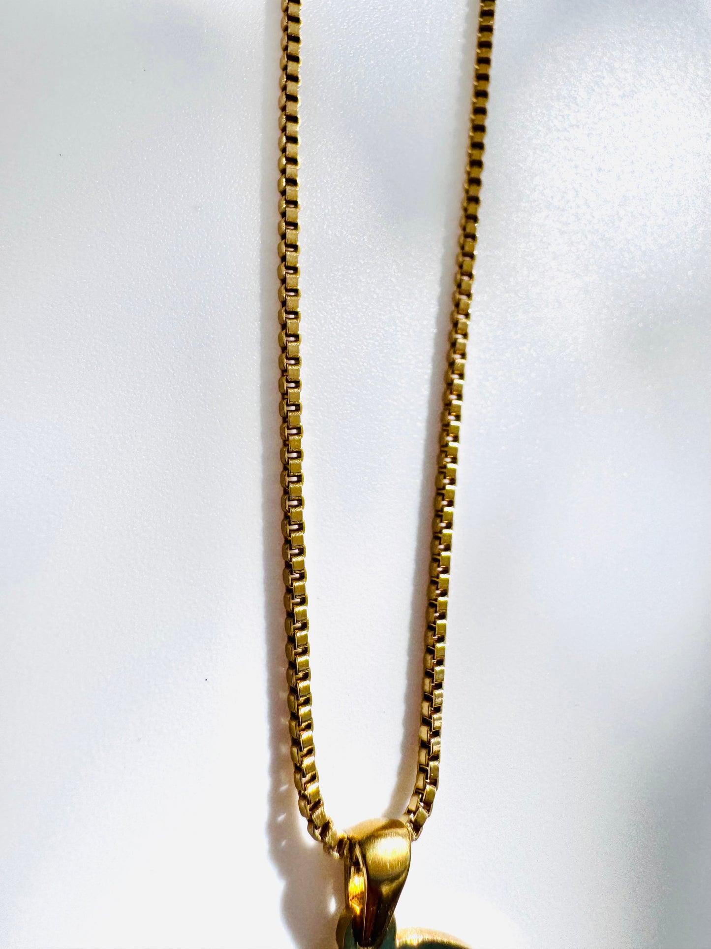Amie Signature Kette 75 cm mit Medaillon