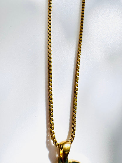 Amie Signature Kette 75 cm mit Medaillon