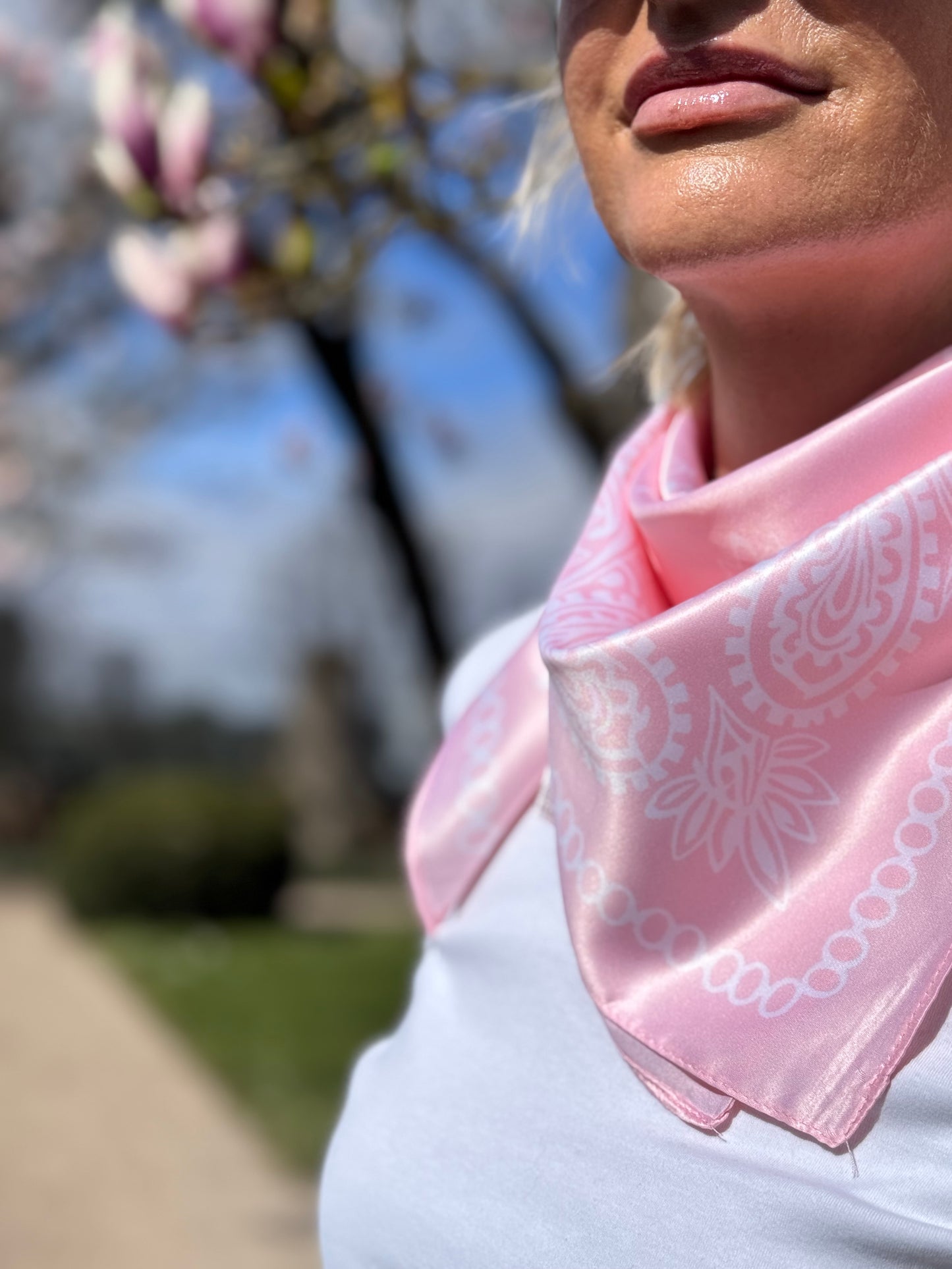 Soft Paisley
