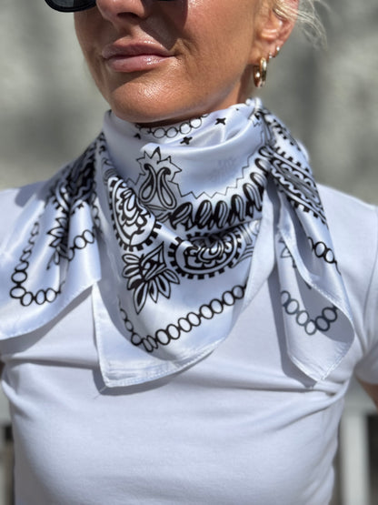 Soft Paisley